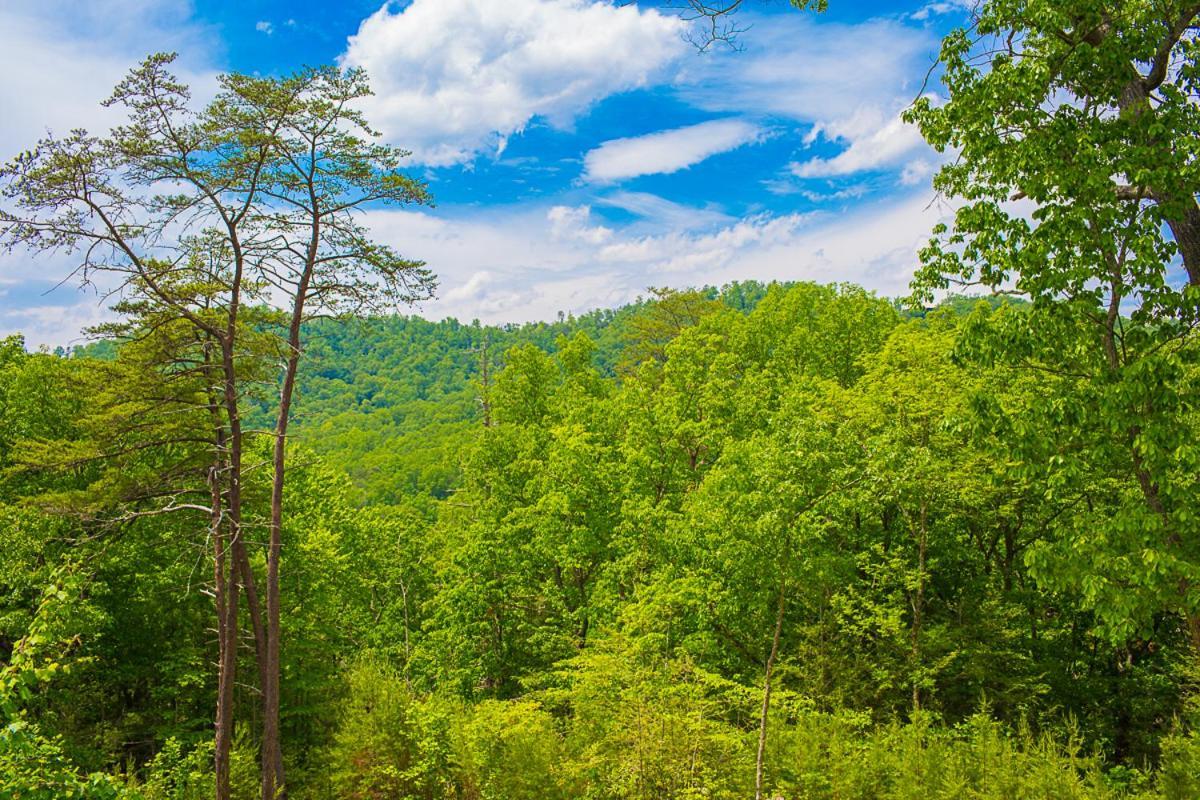 Nature'S Paradise เซอเวียร์วีล ภายนอก รูปภาพ